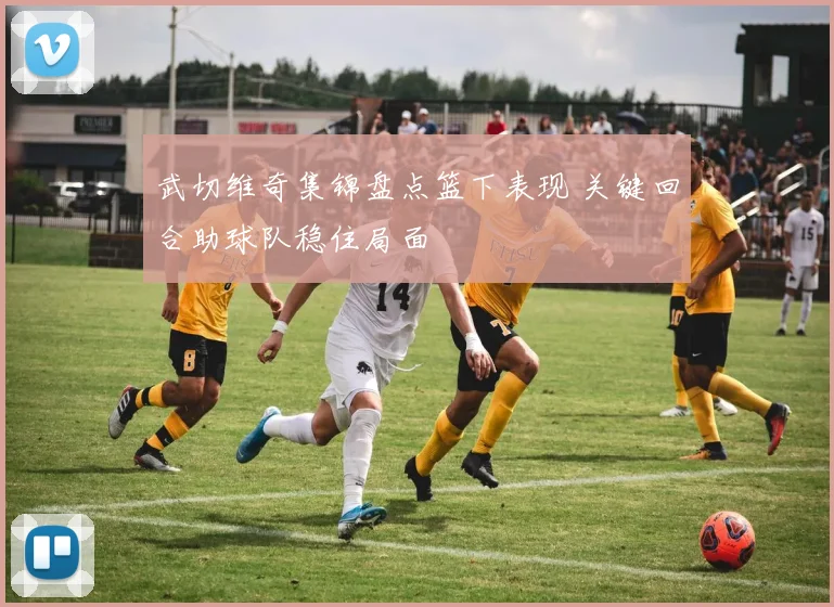 武切维奇集锦盘点篮下表现 关键回合助球队稳住局面