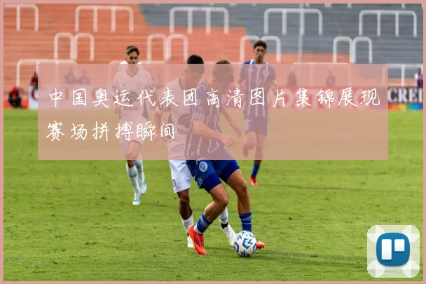 中国奥运代表团高清图片集锦展现赛场拼搏瞬间