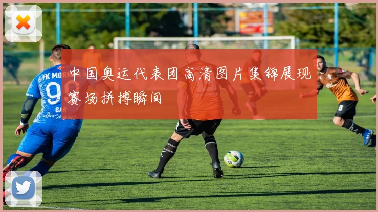 中国奥运代表团高清图片集锦展现赛场拼搏瞬间
